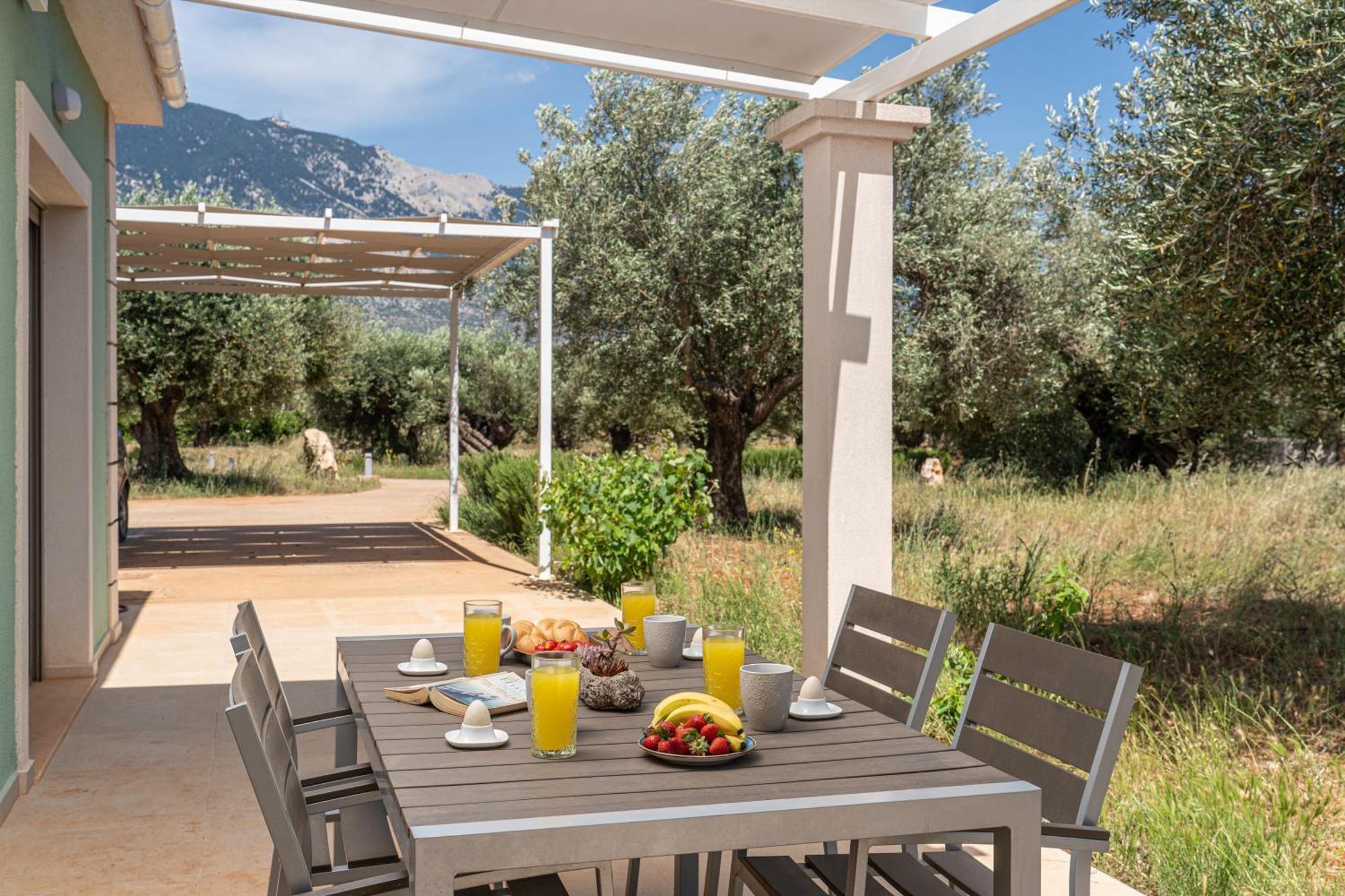 Elia Kefalonia By Olea * Argostoli (Kefalonia)