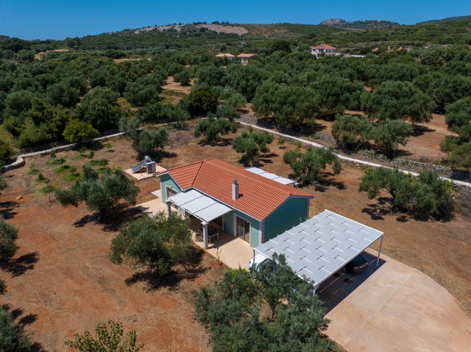 Elia Kefalonia By Olea Argostoli (Kefalonia)