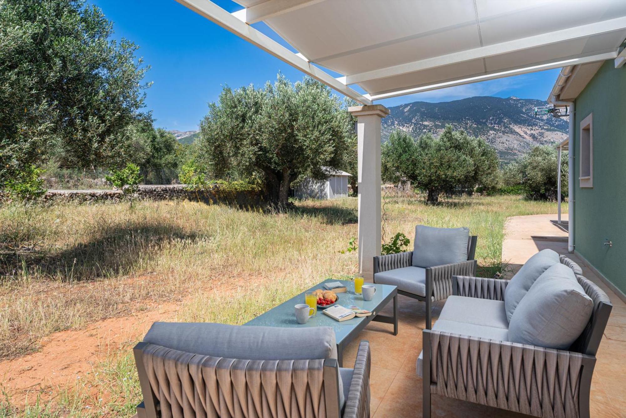 Elia Kefalonia By Olea Argostoli (Kefalonia)