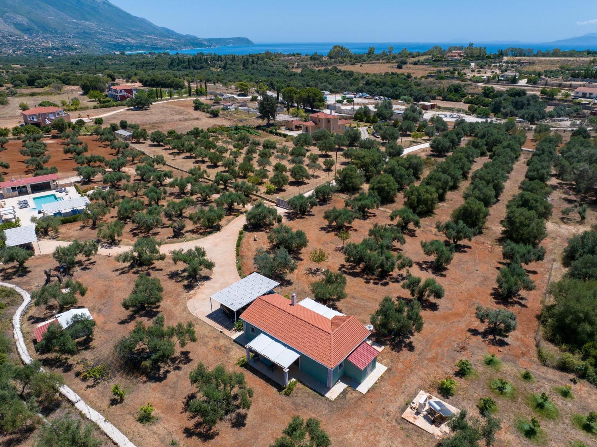 Elia Kefalonia By Olea Argostoli (Kefalonia)